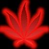 tmoneyd